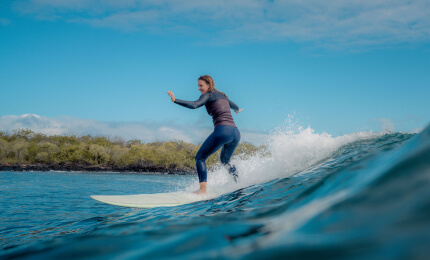 allison traveller surf expedition