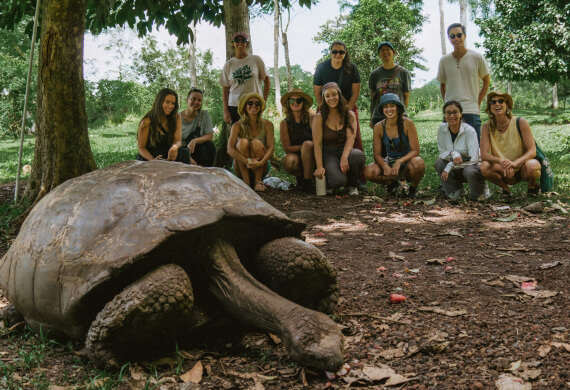 Giant tortoise with a group of travelers on a Galapagos expedition in the background